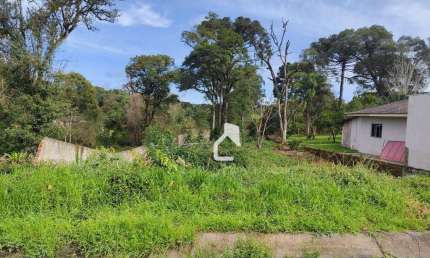 Terreno à venda, 828 m² por R$ 240.000,00 - Alto das Palmeiras - Canoinhas/SC