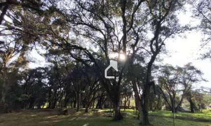 Terreno à venda na Estrada Geral de Pinheiros, Água Verde, Canoinhas