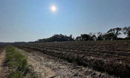 Terreno à venda na Rua Marechal Floriano Peixoto, Alto de Mafra, Mafra