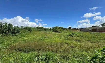 Terreno à venda, 900 m² por R$ 320.000,00 - Privê Lírios dos Campos - Anápolis/GO