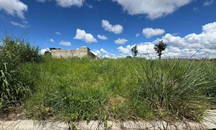 Terreno à venda, 420 m² por R$ 160.000,00 - Privê Lírios dos Campos - Anápolis/GO