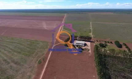 Excelente fazenda 40.000 ha dupla aptidão a venda em cocos b