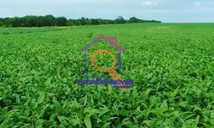 FAZENDA DE DUPLA APTIDÃO COM 1.481 HA (306) ALQUEIRES EM PORANGATU  GO.