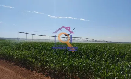 FAZENDA DUPLA APTIDÃO COM 2.220 HA FORMADA  EM IPAMERI- GO