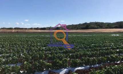 FAZENDA DE DUPLA APTIDÃO COM 988 HA FORMADA EM IBIMIRIM - PE