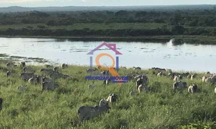FAZENDA DUPLA APTIDÃO 1.998 HA EM PEDRA DE MARIA DA CRUZ-MG