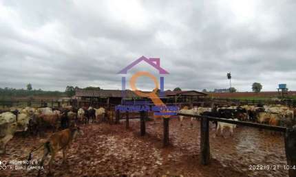 Fazenda com 2 salas à venda na ÁRea Rural, Zona Rural, São Félix do Araguaia