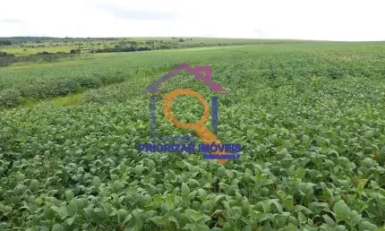 FAZENDA DUPLA APTIDÃO DE 958 HA IRRIGÁVEL E TODA FORMADA EM