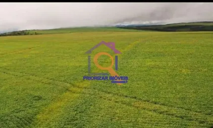 FAZENDA COM 582 HA DUPLA APTIDÃO EM ÁGUA FRIA DE GOIAS - GO