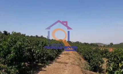EXCELENTE FAZENDA DE CAFÉ COM 900 HA A  VENDA EM SANTO ANTON