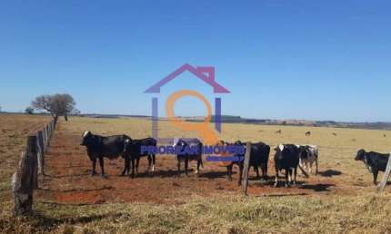 FAZENDA COM 304 HA FORMADA, ÁREA DE LAVOURA E GADO EM PRESID