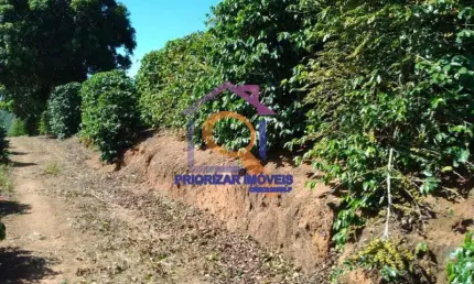 FAZENDA DE CAFÉ TODA FORMADA E PRODUTIVA COM 170 ALQUEIRES  EM GUAXUPÉ - MG