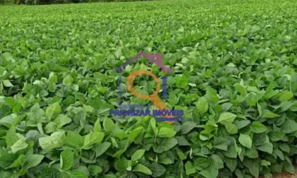 FAZENDA DUPLA APTIDÃO COM 1.396 HA EM CAPÃO BONITO - SP