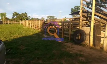 FAZENDA DUPLA APTIDÃO COM 138,45 HA FORMADA EM JANUÁRIA - MG
