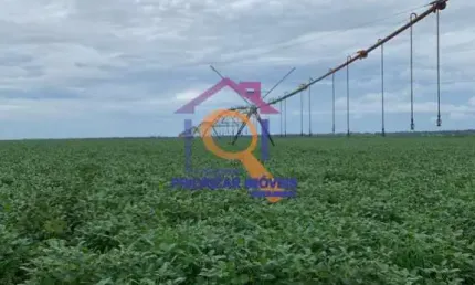 FAZENDA 470 HA DUPLA APTIDÃO IRRIGADA EM BRASILÂNDIA - MG