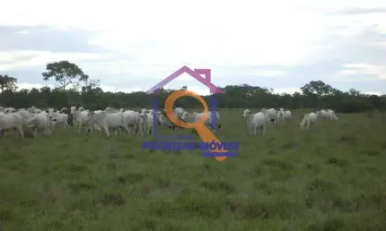 FAZENDA COM 2.620 HECTARES  EM BRASILÃNDIA DE MINAS-MG