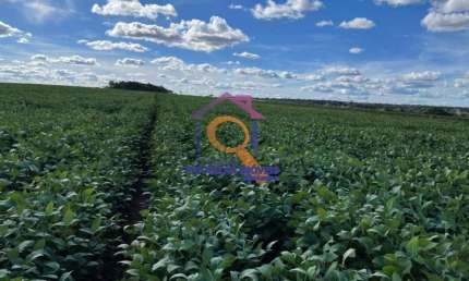 FAZENDA DUPLA APTIDÃO COM 504 HA EM BONFINÓPOLIS -MG