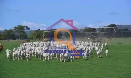 FAZENDA DUPLA APTIDÃO COM 2032 HA IRRIGADA EM PIRAPORA-MG