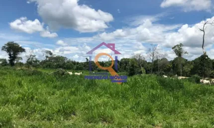 FAZENDA DUPLA APTIDÃO, 980 ALQUEIRES NO SUL DO TOCANTINS-TO