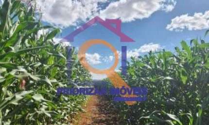 FAZENDA DE DUPLA APTIDÃO COM 405 HA FORMADA EM PARACATU - MG