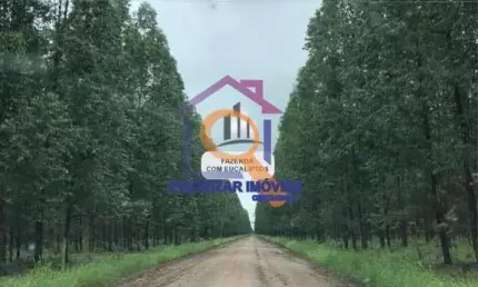 FAZENDA DE EUCALIPTO COM 6.300 HA EM BONITO DE MINAS-MG