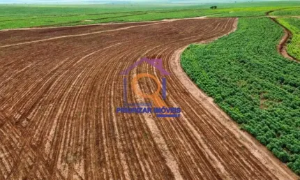 FAZENDA PARA PLANTIO COM 593,66 HA EM PRESIDENTE PRUDENTE-SP
