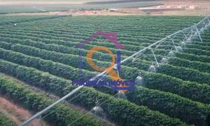 FAZENDA DE CAFÉ COM 2050 HA IRRIGADA EM BURITIZEIRO-MG