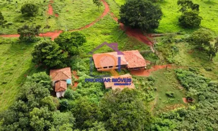 FAZENDA DUPLA APTIDÃO 118,1267 HA A VENDA EM PAINEIRAS-MG