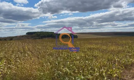 FAZENDA DUPLA APTIDÃO COM 1.600 HA FORMADA EM ÁGUA FRIA - GO