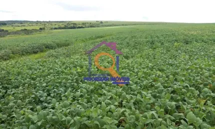 FAZENDA DUPLA APTIDÃO COM 582 HA EM ÁGUA FRIA DE GOIAS-GO