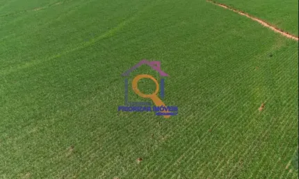 FAZENDA DE CANA COM 912 HA EM PRESIDENTE PRUDENTE- SP