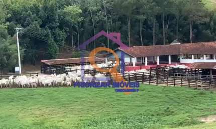 ÓTIMA FAZENDA DUPLA APTIDÃO 800 HA  NO VALE PARAIBA -SP