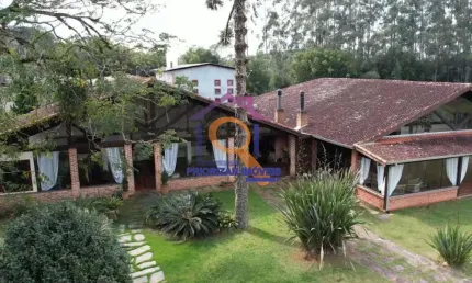 Fazenda de pinus com 550 ha formada a venda em itapetinga- p