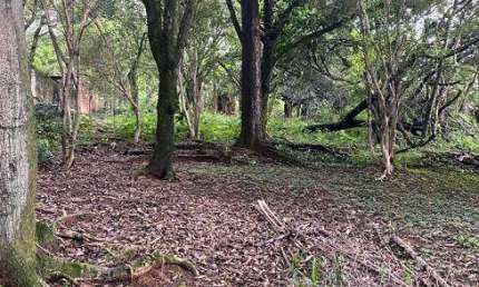 Lote/Terreno para venda possui 2334 metros quadrados em Garças - Belo Horizonte - MG