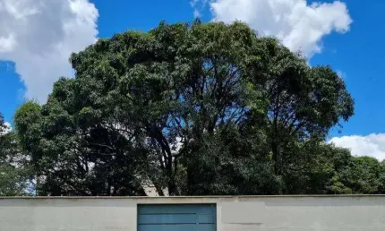 Lote/Terreno para venda tem 885 metros quadrados em Céu Azul - Belo Horizonte - MG