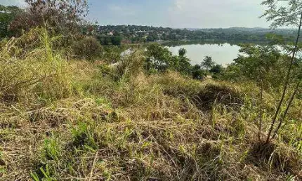 Lote/Terreno para venda possui 1200 metros quadrados em Jardim Atlântico - Belo Horizonte - MG