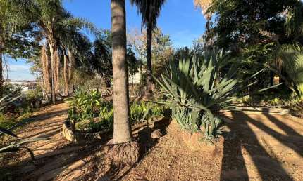 Terreno à venda na Santa Amélia, Belo Horizonte 