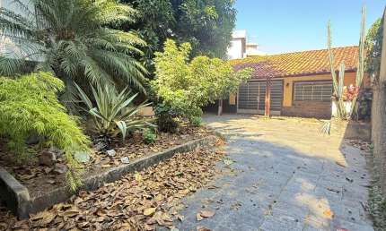 Mega oportunidade para investidores casa lote 420 m2º de lote no Santa Amélia , quase esquina com Av Portugal