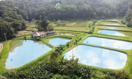 Chácara / sítio com 2 quartos à venda na Zona Rural, Morretes 