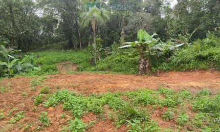 Terreno à venda no bairro São João da Graciosa - Morretes/PR, Rural