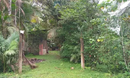 Terreno à venda no bairro América de Cima - Morretes/PR