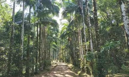 Chácara  com 306.287 m² apenas 3Km do Centro Histórico de Morretes