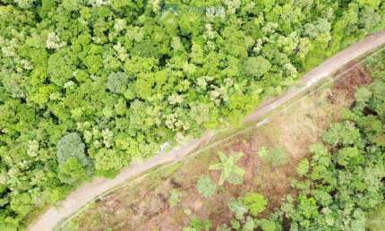 Chácara / sítio com 1 quarto à venda em América de Cima, Morretes 