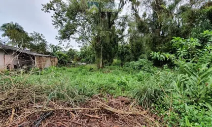 Terreno à venda no bairro rocio - morretes/pr, urbana