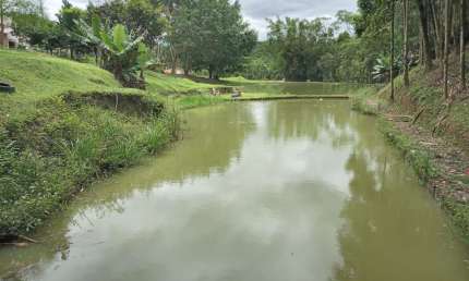 Chácara à venda no bairro Sapitanduva - Morretes/PR