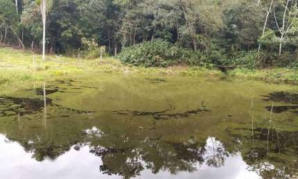 Chácara / sítio com 3 quartos à venda na Itaperuçu, Vila Itaperuçu, Morretes
