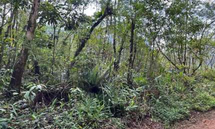 Terreno à venda no bairro São João da Graciosa - Morretes/PR, Rural