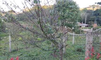 Terreno à venda na R. Alcídes Macedo, 2, Avencal, Ipiranga