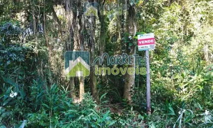 Área à venda no bairro Cruz Alta - Morretes/PR, Rural