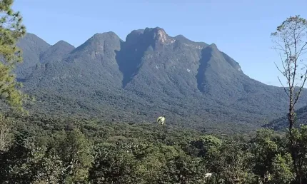 Chácara / sítio com 7 quartos à venda na Rodovia Da Graciosa, 543, São João da Graciosa, Morretes